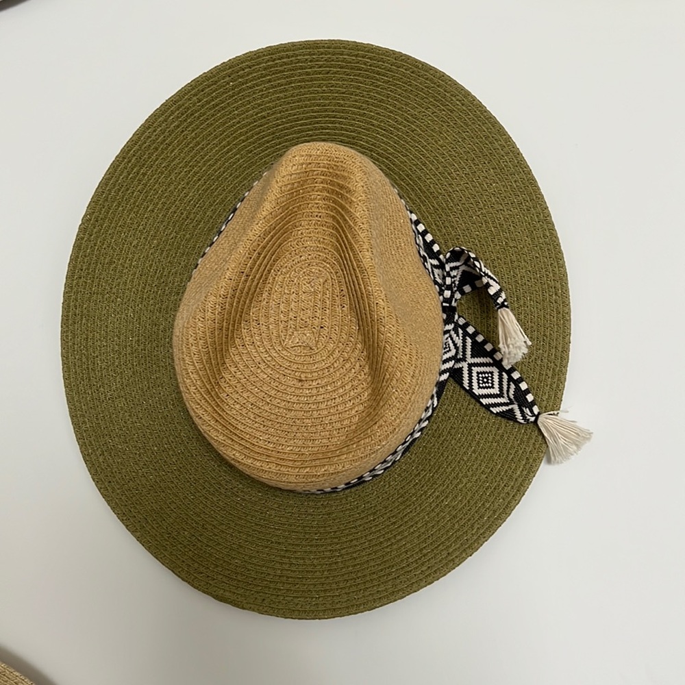 Carly Jean Los Angeles Olive and Tan Hat
